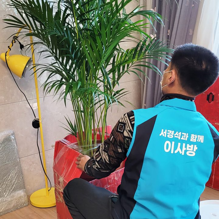 평택 포장이사 작업 참고 사진 5